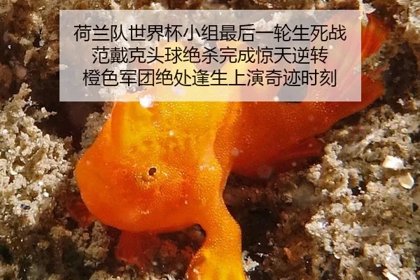 he-lan-dui-shi-jie-bei-xiao-zu-zui-hou-yi-lun-sheng-si-zhan-fan-dai-ke-tou-qiu-jue-sha-wan-cheng-jing-tian-ni-zhuan-2-770.jpg